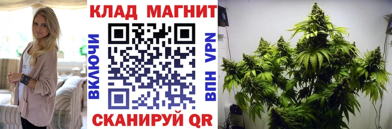Как найти наркотики Липецк Метадон  Мефедрон  Амфетамин  Codein  COCAIN  Каннабис  ГАШ 